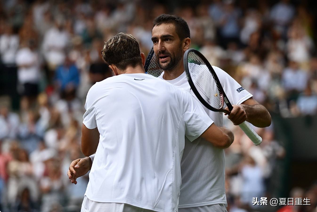 体育娱乐平台 德约科维奇如果是中国人 